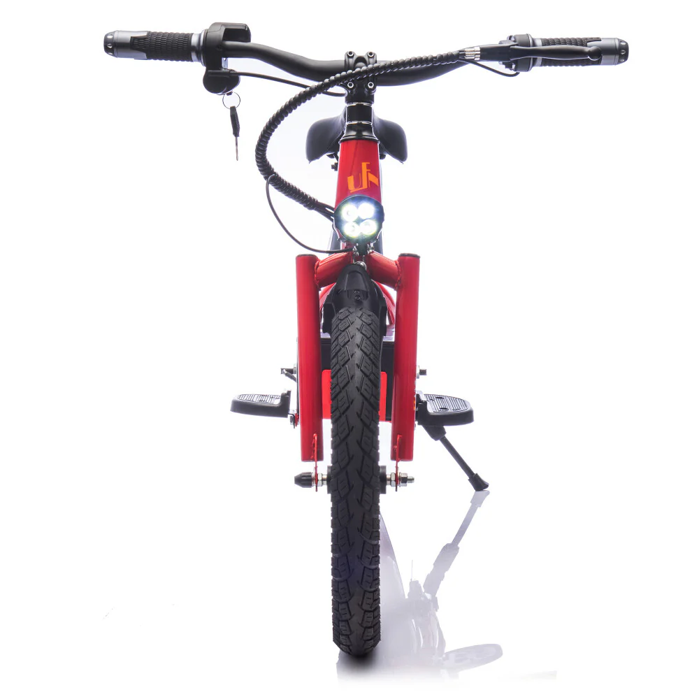 24V 300W Electric Ride-On Bike for Kids with 16-Inch Wheels, 12.4 MPH Top Speed, Ages 5–12 - Image 25
