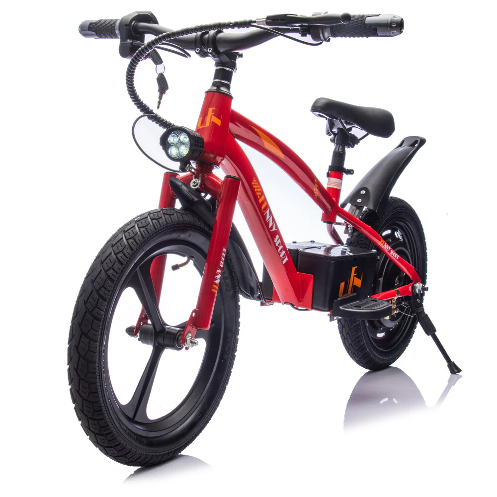 24V Kids Electric Ride-On Dirt Bike with 300W High-Power Motor and Electric Balance System - Image 5