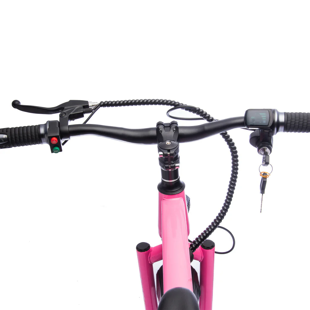 24V Kids Electric Ride-On Dirt Bike with 300W Motor and Handle Acceleration - Image 15