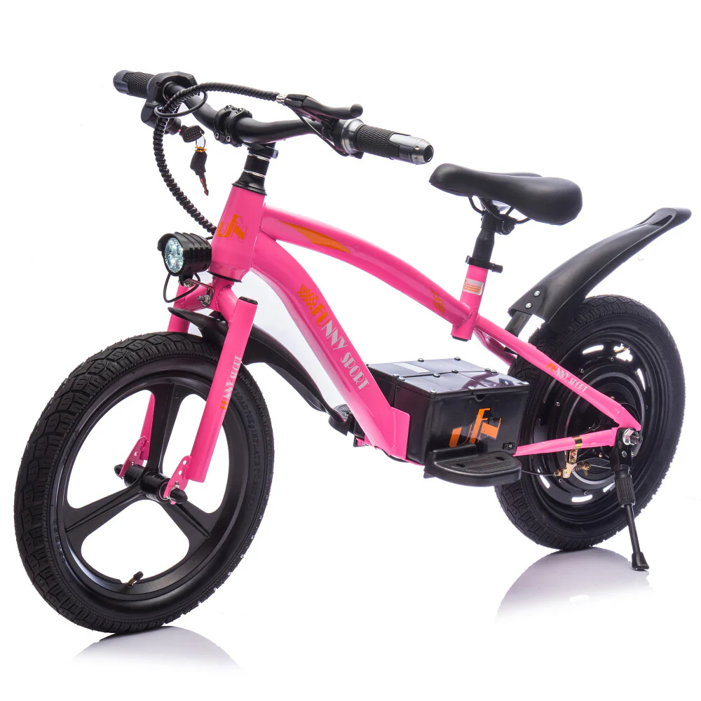 24V Kids Electric Ride-On Dirt Bike with 300W Motor and Handle Acceleration - Image 3