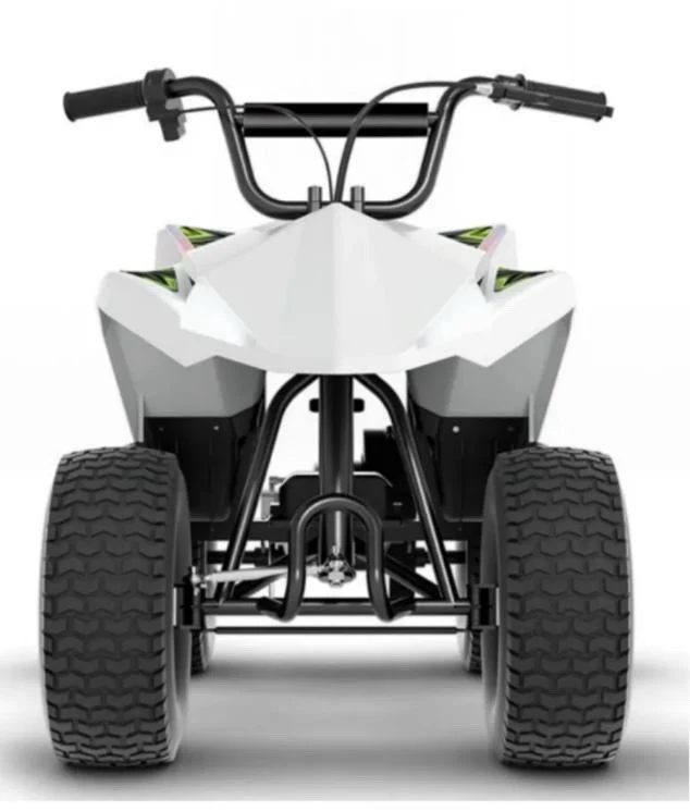 48V Brushless Motor Electric ATV - Image 9