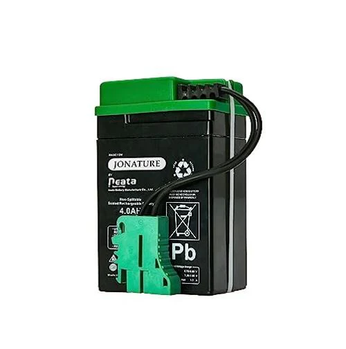 6V 4AH Battery Compatible with Peg Perego Lil Tractor & Trailer and Santa Fe Train - Image 2