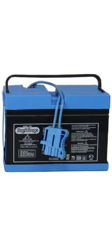 Authentic Peg Perego 12V Battery Replacement - Model IAKB0501