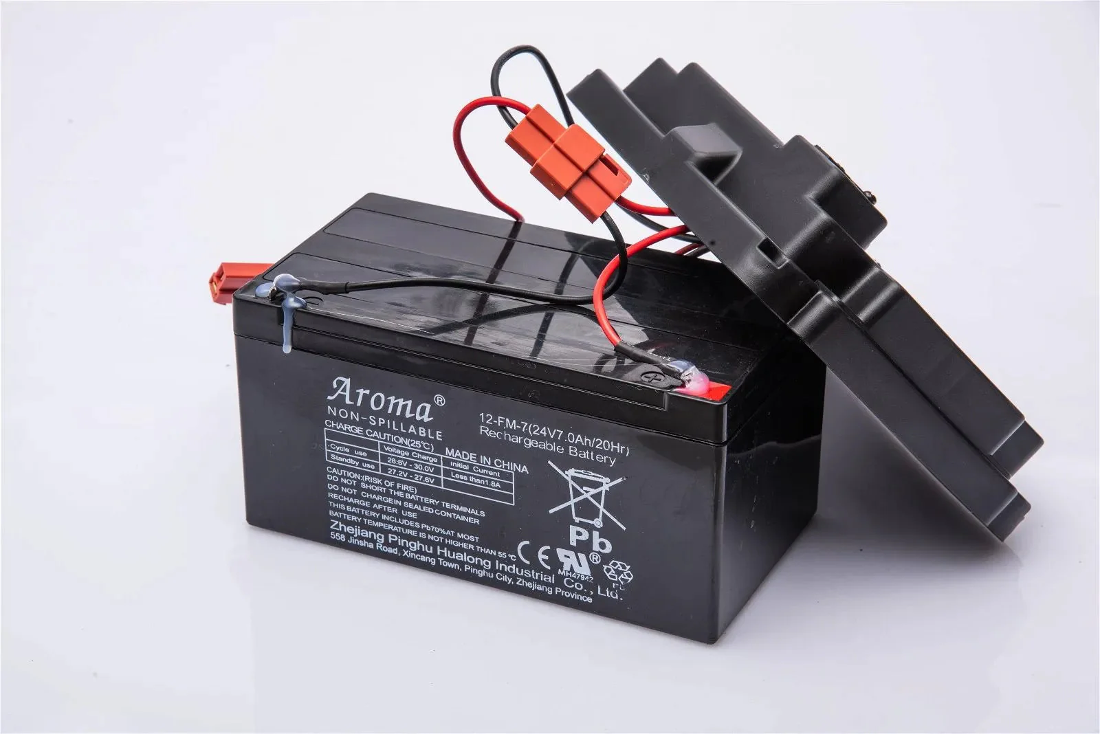 Can Am Maverick (2 seater) - Battery