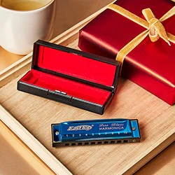 Blue 10-Hole Diatonic Pocket Harmonica with Brass Reeds and Storage Case