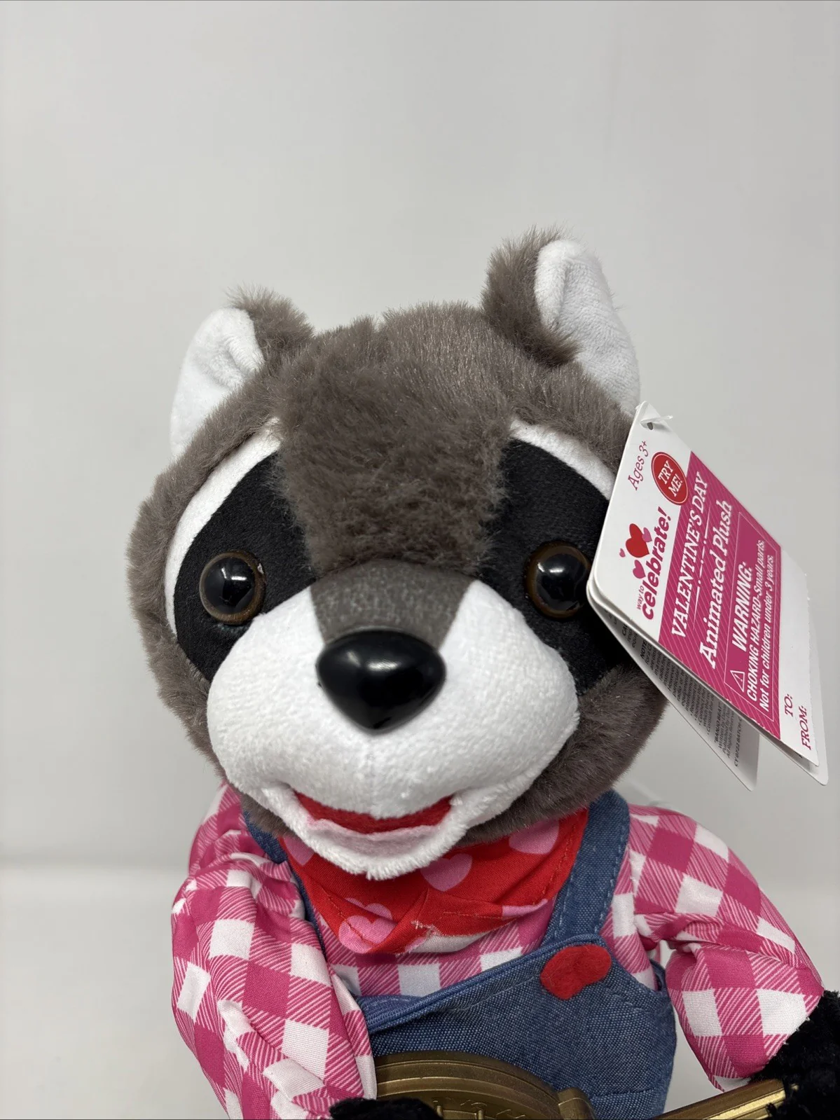 Gemmy Animated Valentine's Day Raccoon Plush with Banjo and Dancing Arms - Image 2