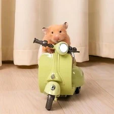 Rotating Hamster and Guinea Pig Motorbike Cage with Hideout and Accessories - Image 6