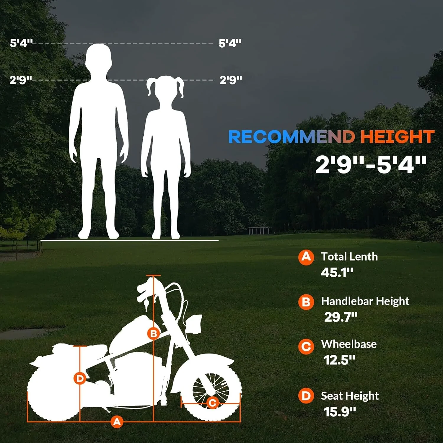 24V Kids Electric Dirt Bike with 300W Motor Ride-On Motorcycle - Image 6