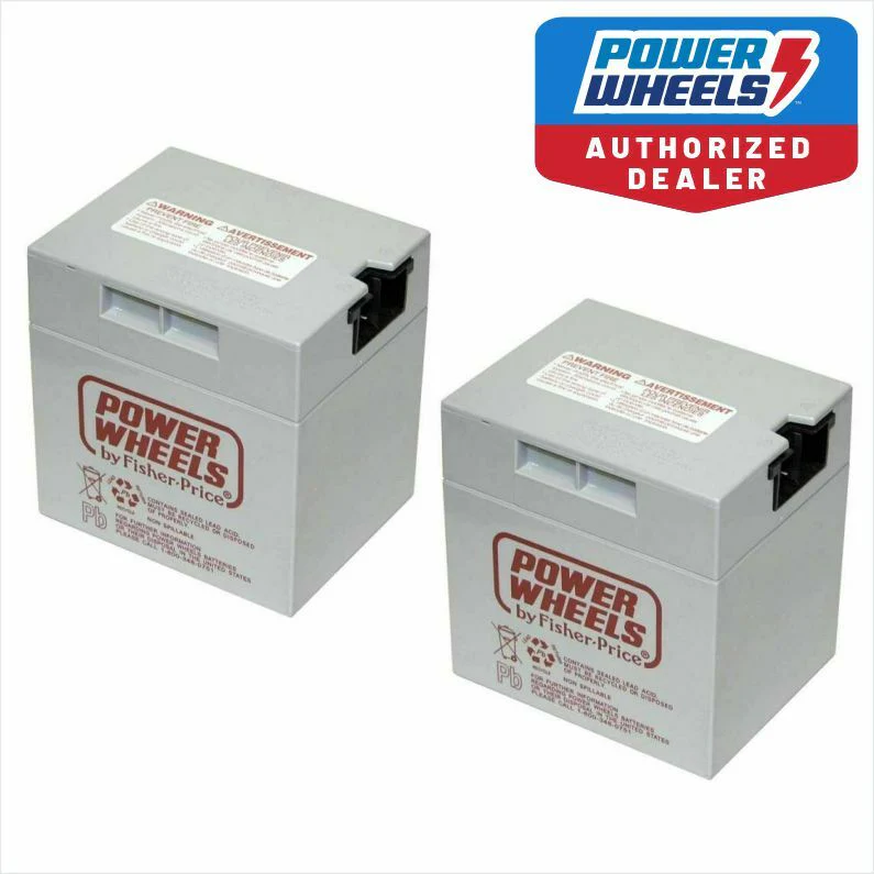 12V Gray Power Wheels Battery 2-Pack Genuine OEM 00801-1460