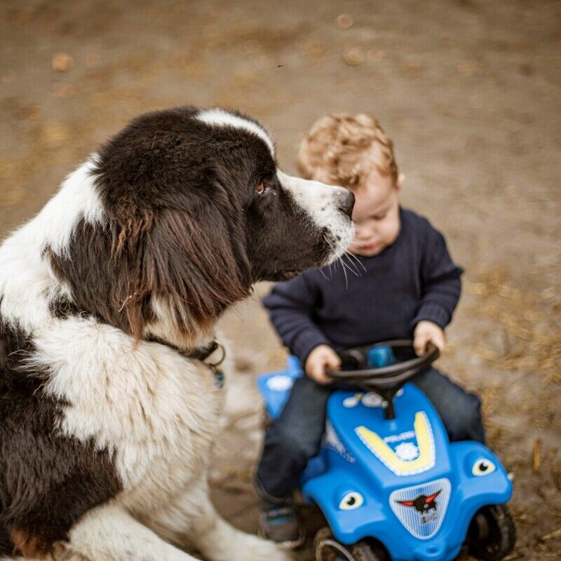 Rev Up Your Playtime with the Bobby Car Police Sound Rider - Image 4